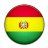 Flag Of Bolivia Icon
